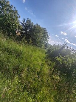 Kosenie
