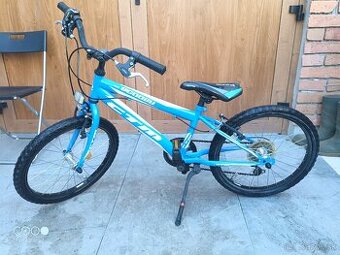 CTM Scooby 20”