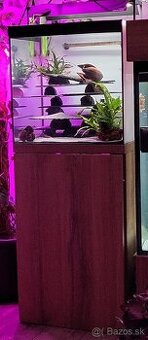 ⚠️Akvárium Komplet⚠️