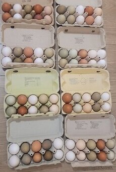 Domáce vajíčka