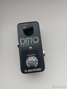 Looper, tc electronic Ditto