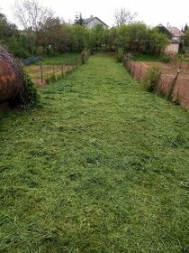Záhrada na predaj - 1