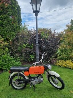Jawa mustang