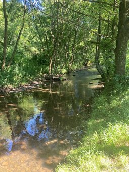 Pozemok na chov akýchkoľvek zvierat 🐴🐑🐐🌿 - 1
