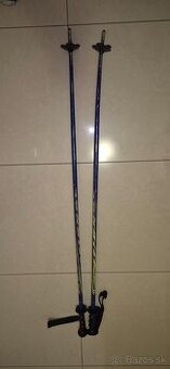 Lyžiarske palice 125cm