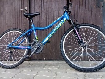 24" horský bicykel