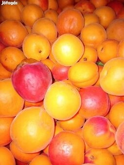 Marhule