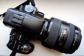 Sony Alpha SLT-A55V + Sony 16-50/2.8 SSM