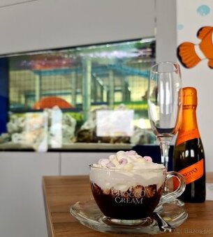 Hľadá sa šikovný čašník/ čašníčka