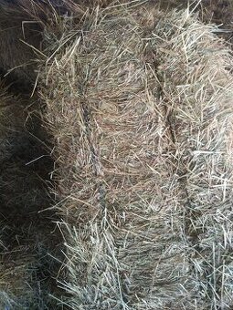 Predám balíkované seno