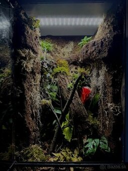 Teráriá- Terarijne zvierata.