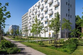 DOPYT - Prenájom 3i byt v Ružinove - Ovocné Sady