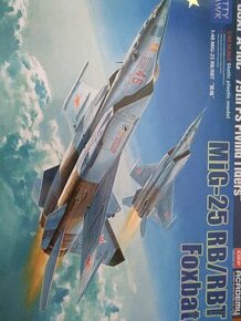 MiG 25  1/48 Kitty Hawk
