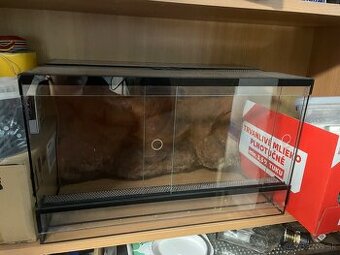 Terarium