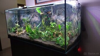 Akvarium 300L + skrinka + prislusenstvo