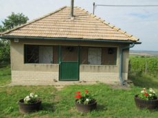 Predám pivničny domček a pozemky - 1