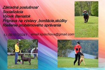 Výcvik psov