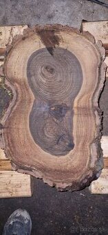 Orechové priečne rezy čerstvé