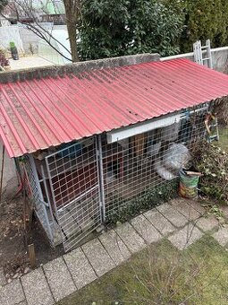 Prístrešok pre psa a búda