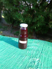 Černicový sirup