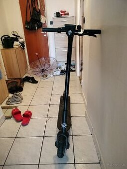 Elektrický skúter Bird One 9"
Žiadna recenzia