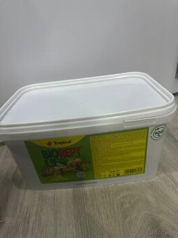 Krmivo pre leguána