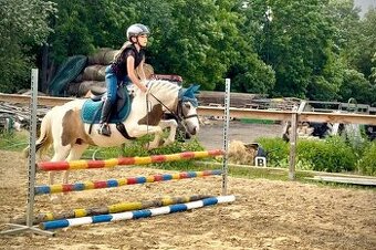 Pony S kobylka 121 cm