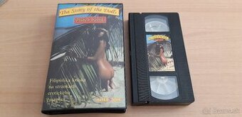 VHS Videokazety