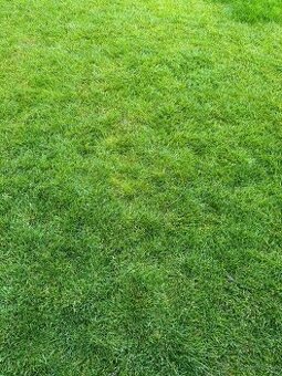 Slnečný pozemok-Trnava-Modranka