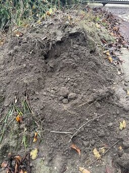 Darujem Ornicu preosiatu za odovoz