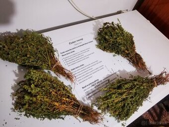 Čistec rovný sušený