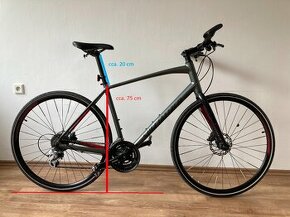 Pánsky bicykel Specialized Sirrus 1.0