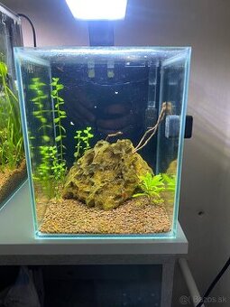 Akvarium