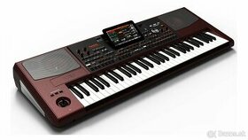 korg pa 1000 muzikant 1900e pevná cena
