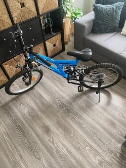 Bicykel BUDDY DLPRAN 20