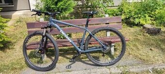 bicykel dema energy 7