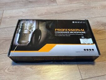PROFESSIONAL CONDENSER MICROPHONE