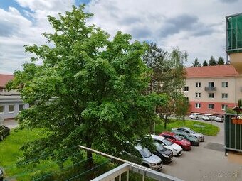 1 izb.byt na predaj
