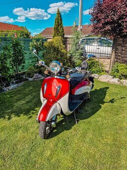 Adams 125t10