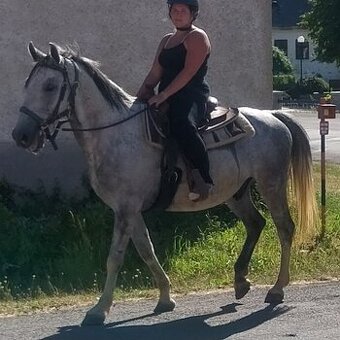 Valach