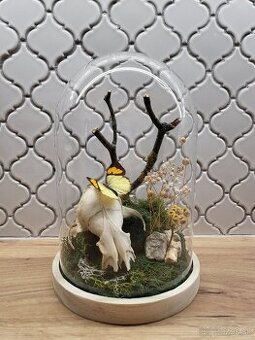 Prírodná dioráma - 1