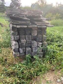 Staré drevo dub - 1