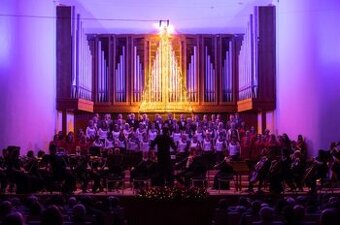 Predám 2 vstupenky Vianoce sú Rybovka Filharmónia Košice