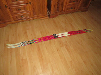 Predam bezky Atomic,198 cm,Sns-SKATE