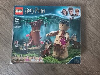 Lego Harry Potter 75967 Zakázaný les