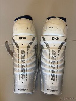 Hokejove chrániče na holene