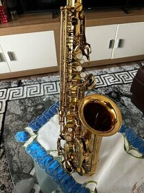 Saxofón Roy Benson AS202