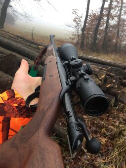 haenel jaeger 10 standard