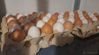 Predám domáce vajcia