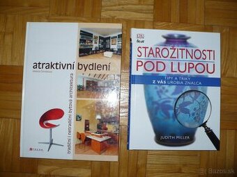 Atraktivní bydlrní , Starožitnosti pod lupou